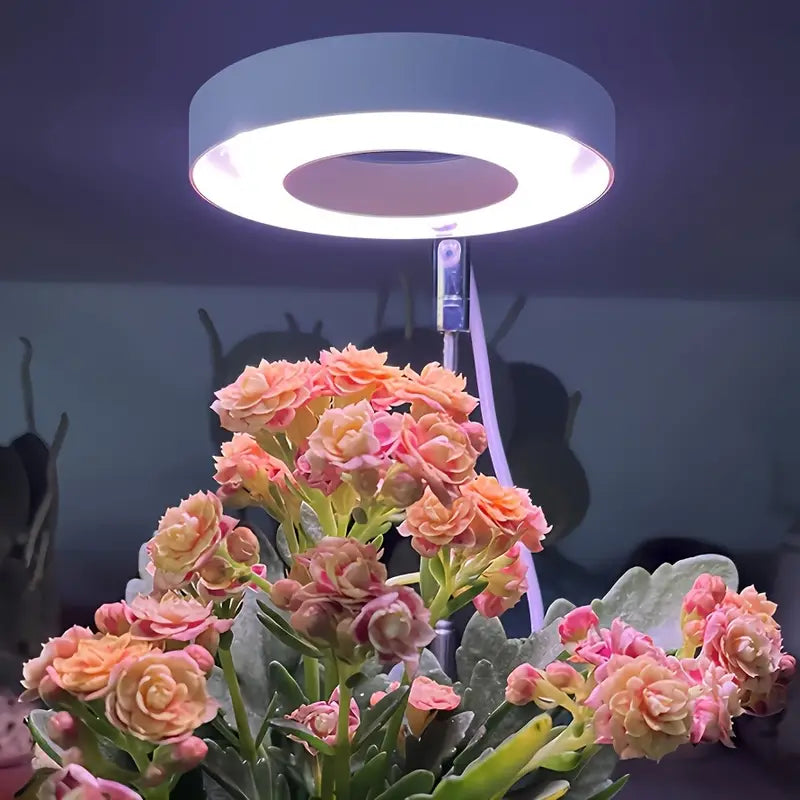 ProGrow Adjustable LED Grow Lights, 2-Pack