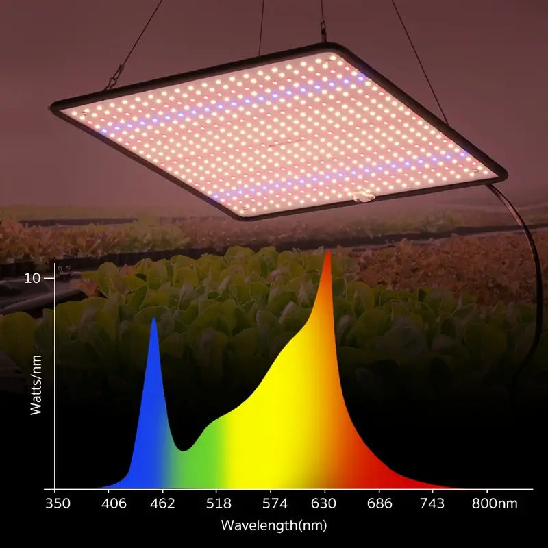 PremiumGrow 500 LED Plant Light (ARACEE FAST GROWING)