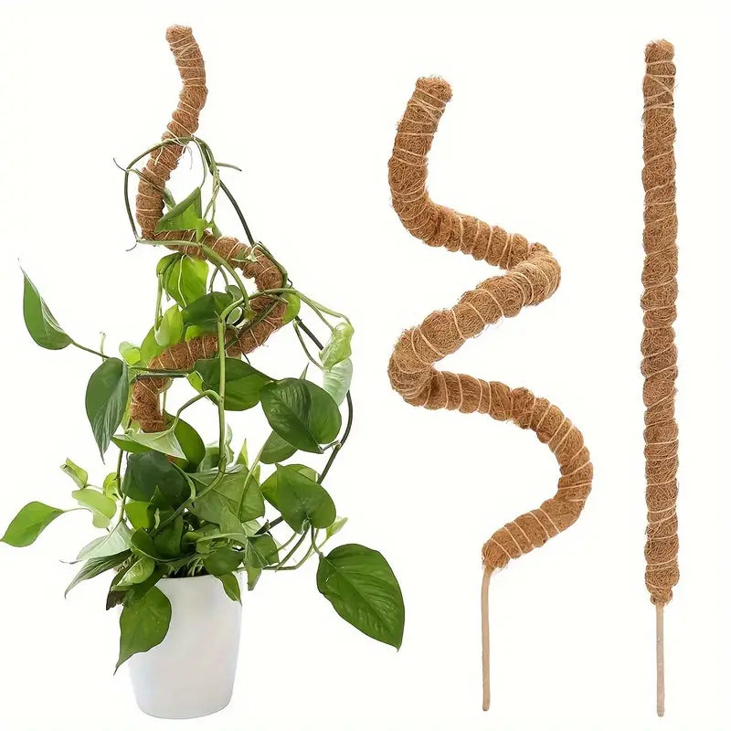 Flexible Brown Coconut Pole 1pc