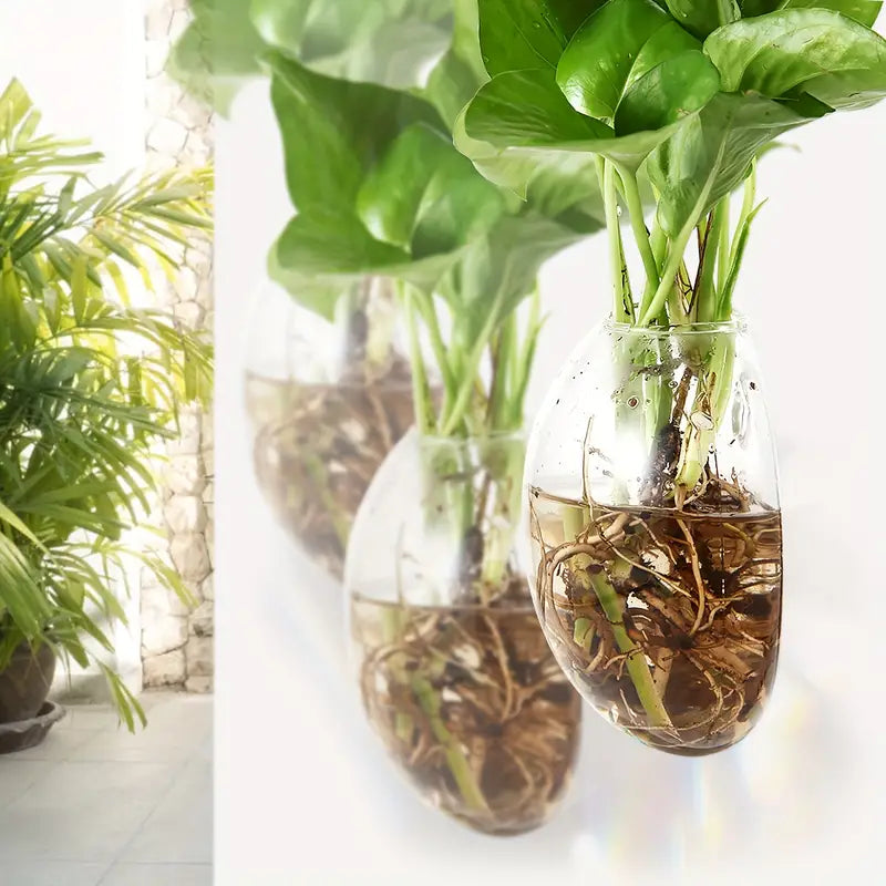 indoor plants in vases Charming Hanging Flower Vases 2pc – Grow Unique Plants