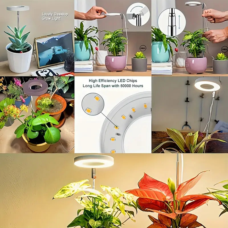 ProGrow Adjustable LED Grow Lights, 2-Pack