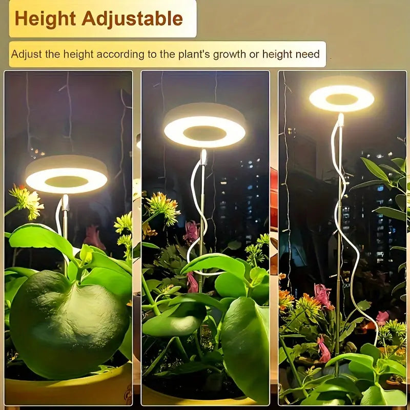 ProGrow Adjustable LED Grow Lights, 2-Pack