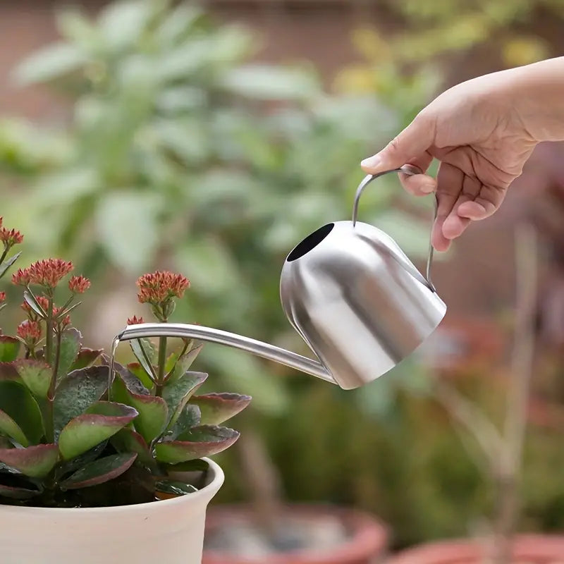 Stainless Steel Indoor Watering Can - 1.5L