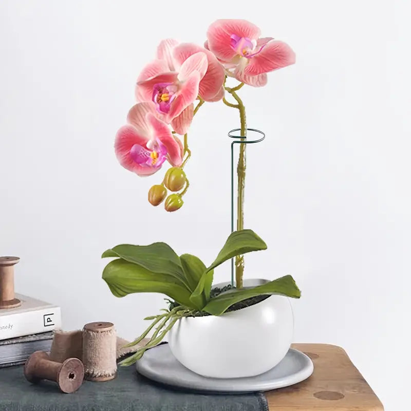 Set of 6pc Plant Supports