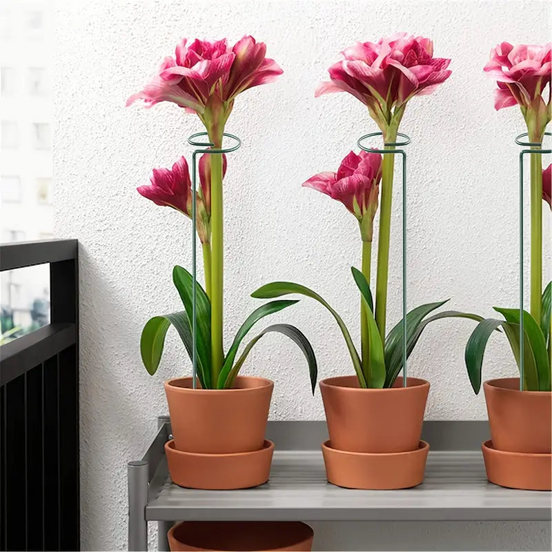 Set of 6pc Plant Supports