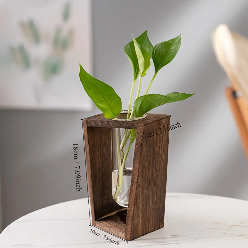 Wooden Test Tube Holder for Plants