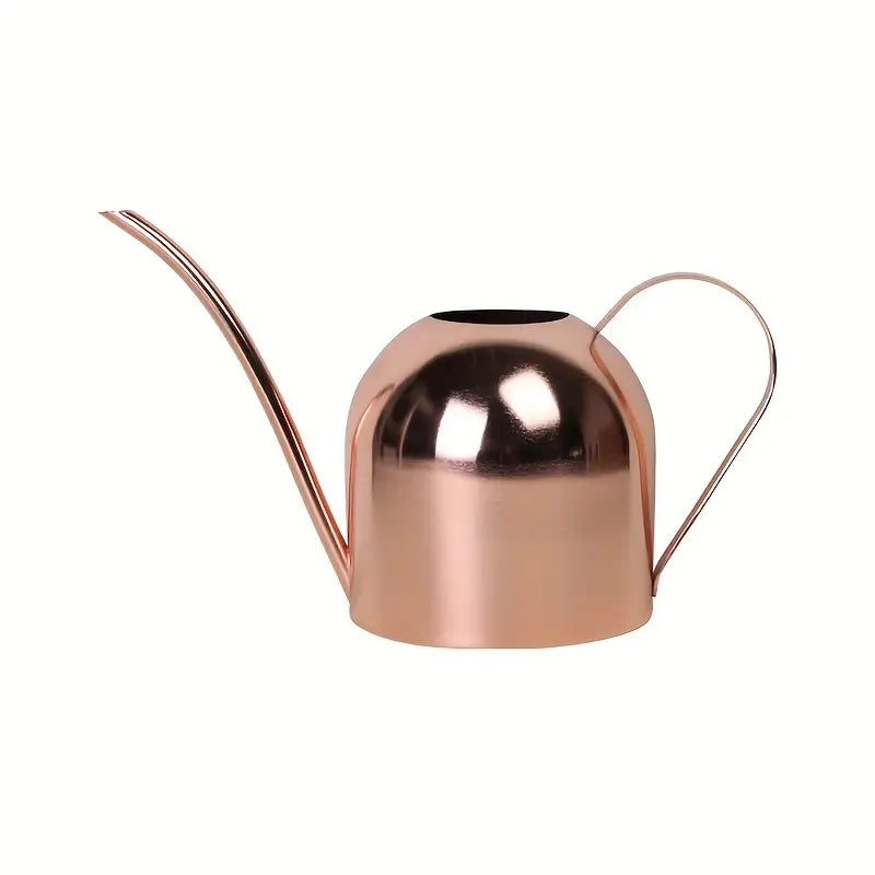 Stainless Steel Indoor Watering Can - 1.5L