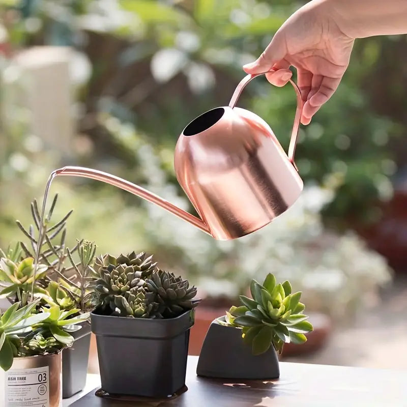 Stainless Steel Indoor Watering Can - 1.5L