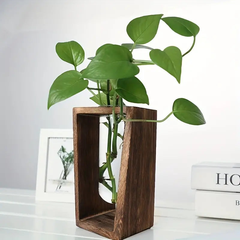 Wooden Test Tube Holder for Plants