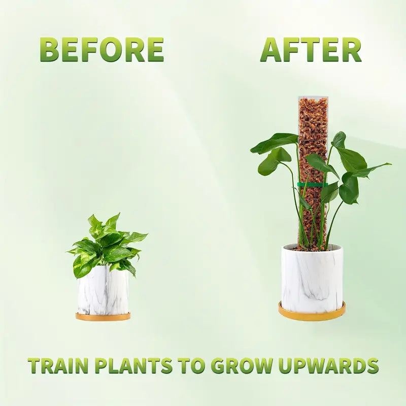 6pc-Pack Climbing Plant Structures, 38.1 cm